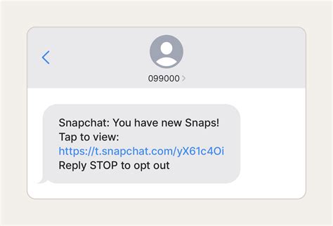 fake snap geld|10 Biggest Snapchat Scams and How to Spot Them